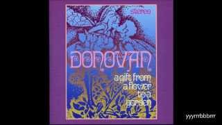 Donovan - Oh Gosh