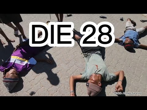 Die-28 Kortvehaal