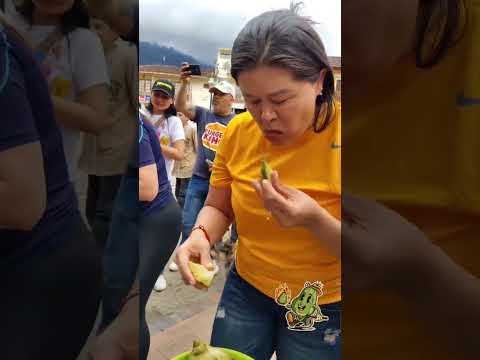 concurso guatila caliente en San Bernardo Cundinamarca