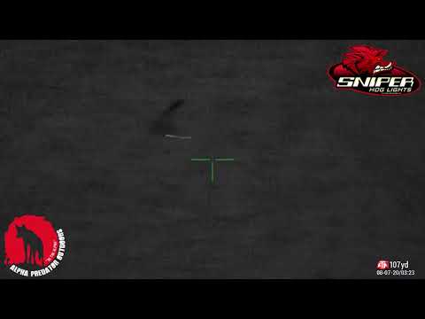 Tom 302yd  head shot 6.5 Grendel, Lehigh Defense Controlled Choas, Sniper Hog Lights Coyote Cannon