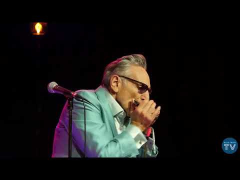 Rick Estrin and The Nightcats Blue Frog Studios