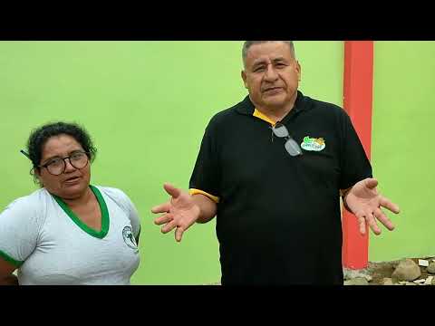 Organic banana composting in Peru & Ecuador