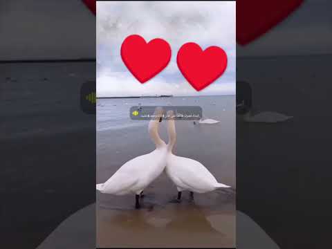 good#♥️😀#😀