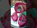 Dragon Grow From Seed Shorts Shortsfeed Dragon Dragonfruit Short Shortsvideo Seed Plant