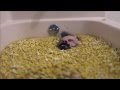 MATH THE BAND "Four To Six" music video ...