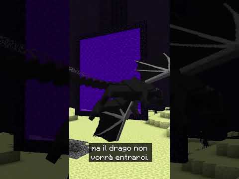 PORTO L’ENDER DRAGON NEL NETHER - MINECRAFT