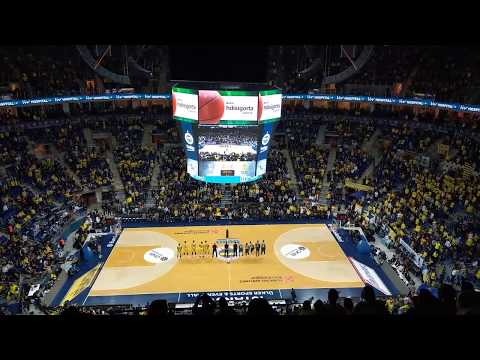 I feel devotion!Fenerbahçe-Pana Euroleague 2018-2019