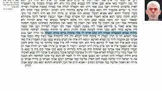 דף יומי מסכת סנהדרין דף צה Daf yomi Masechet Sanhedrin page 95  ע"י יוני גוטמן (שיעורי הדף היומי ב-20 דקות – מועבר ע"י ר' יוני גוטמן – לעילוי נשמת אביו ר' אלימלך צבי (צביקה) גוטמן ז"ל) - התמונה מוצגת ישירות מתוך אתר האינטרנט יוטיוב. זכויות היוצרים בתמונה שייכות ליוצרה. קישור קרדיט למקור התוכן נמצא בתוך דף הסרטון