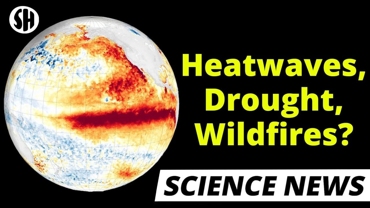 Super El Niño: How Accurate Are These Predictions?