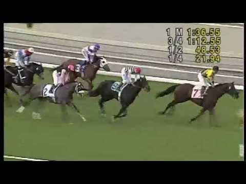 Oak Tree Derby Race 8