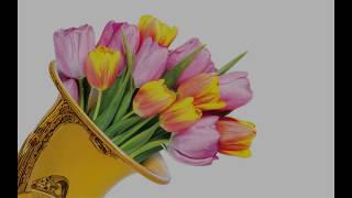 2018 Spring Concert: Jazz Band ~ Quiet Night of Quiet Stars