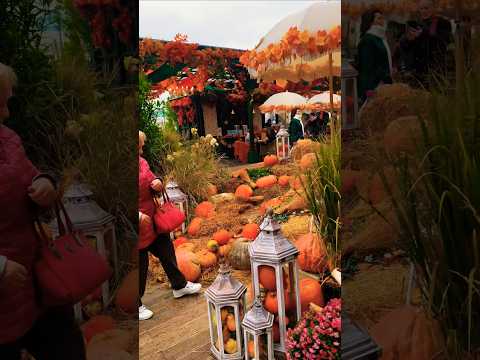 City Walks Around the World🌏 | Russia🇷🇺 | Moscow | Autumn & Okhotny Ryad, Daytime Walk