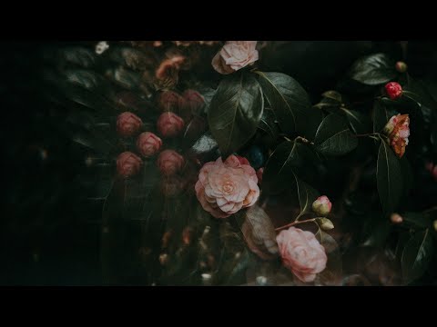 AK & Tim Schaufert // Tides