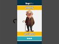 elderly - ancianos video thumbnail