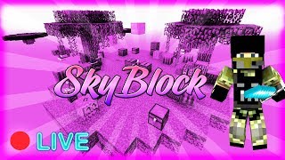 Miniaturka - BestMine.pl 1.12.2 Skyblock #4 budujemy kaktusiarke c.d. Walka o topkę 10 Giveaway $ i inne