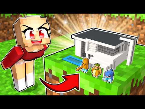 I Built The Best House For The Baby Brainrots in Minecraft