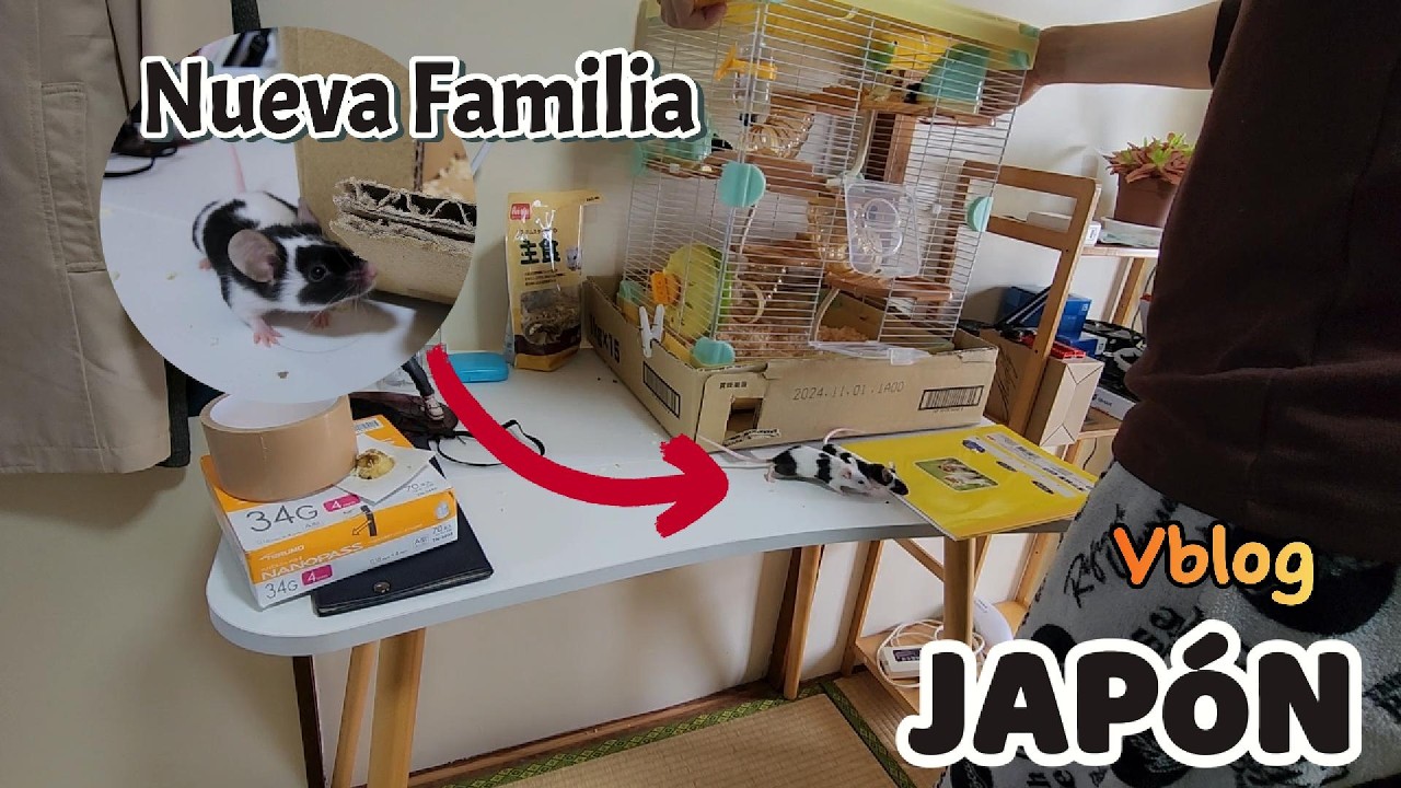 Volviendo al canal luego de 1 mes y con nuevos Miembros!