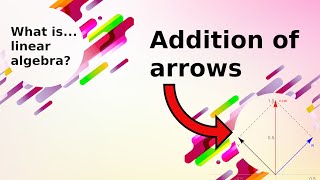 What is...a vector space?