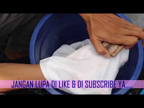 Program video untuk menurunkan berat badan Bagaimana menangani menjadi kucing kelebihan berat badan