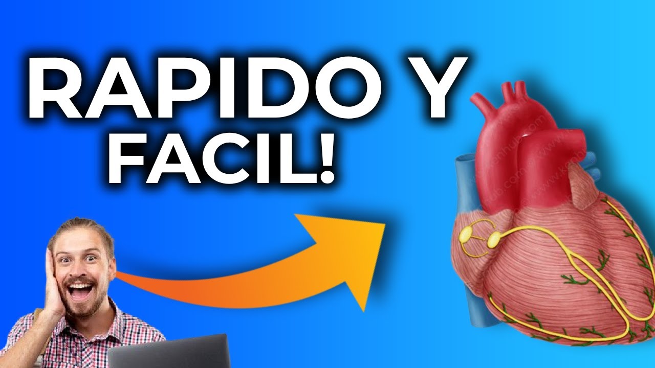 Excitacion Ritmica del Corazón FACIL Y RAPIDO! (Fisiología cardiaca #4)