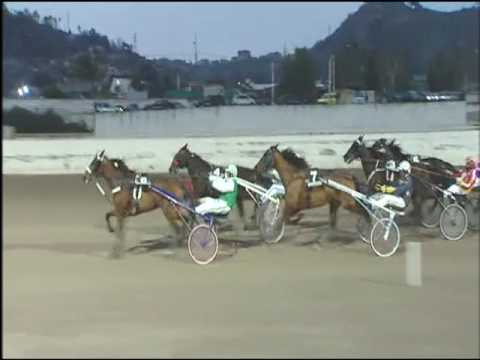 Trotto 24/02/2017 - 6ª corsa