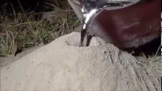 Que pasa si tiras aluminio hirviendo dentro de un hormiguero