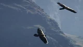 THE LONG AND WINDING ROAD DIANA ROSS