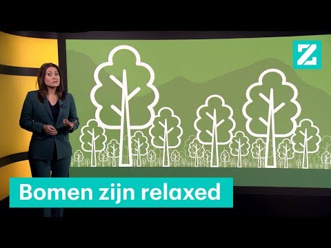 Een biljoen bomen planten: kan dat lukken? • Z zoekt uit