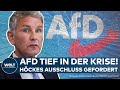 THÜRINGEN: AFD-Krise spitzt sich zu! Jetzt fordern Abgeordnete den Parteiausschluss von Björn Höcke!