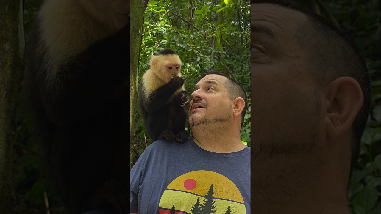 Vacation Adventures - More Videos Coming Soon #monkeys #smileuntilithurts #gumbalimbapark #vacation