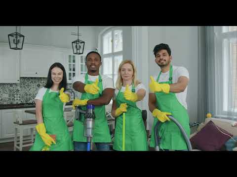 THE LION CLEAN video.