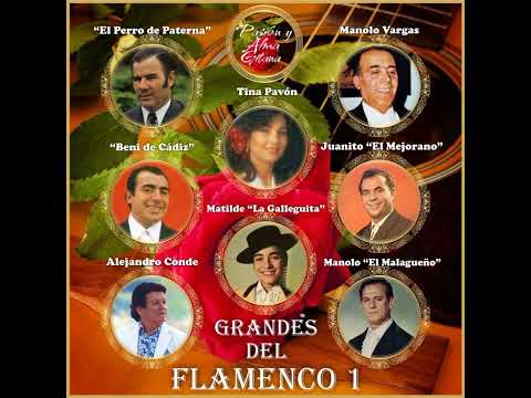 Pasión y Alma Gitana - Grandes Del Flamenco, Vol. 1