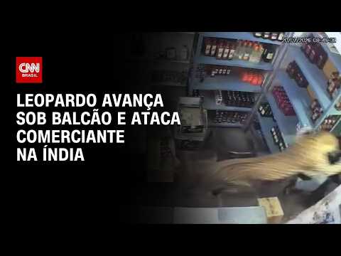 Leopardo pula sobre balcão e ataca comerciante na Índia; veja o momento | CNN BRASIL