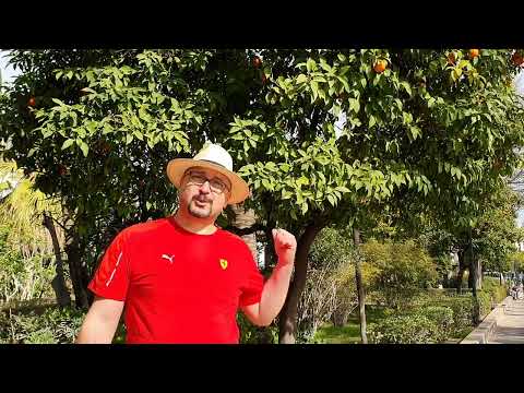 Apicultura romaneasca in Anglia-Sevilla Spain