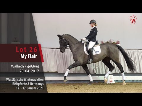 Winterauktion Reitpferde & Reitponys Lot 26 My Flair Wallach v. Millenium/T. - Farewell III