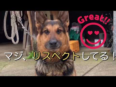 ワンワンU・x・Uお悩み相談室4️⃣8️⃣〜#雨の日は飛ばしたらあかん　#ハイドロプレーニング現象