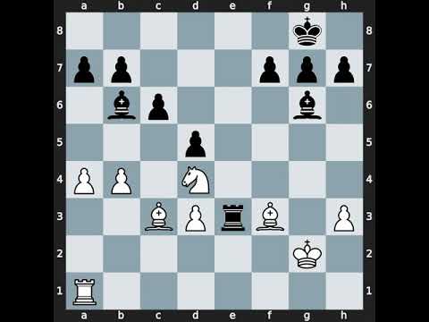 Pavel Maletin(2468) vs Sergej Dyachkov(2549) | Event: Aeroflot Open B | 2005.02.15