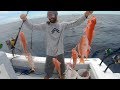 DEADLY Fishing Rig... Catch Clean Cook- Bahamas Deep Drop Snapper - Landshark Outdoors DEADLY Fishing Rig... Catch Clean Cook- Bahamas Deep Drop Snapper