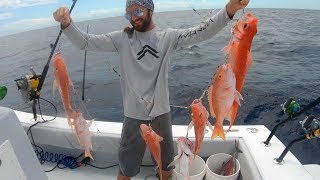 Download lagu DEADLY Fishing Rig... Catch Clean Cook- Bahamas Deep Drop Snapper mp3 Download lagu DEADLY Fishing Rig... Catch Clean Cook- Bahamas Deep Drop Snapper mp3