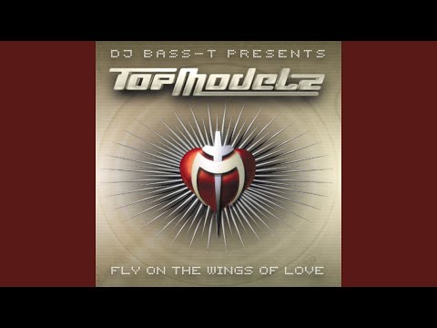 Fly On The Wings Of Love (Single Mix)