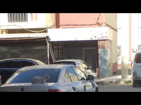 les 2 ou 3 citations de philippe chevallier