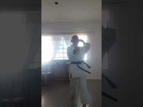kata Unshu Shito Ryu Sensei Ramón Piñango