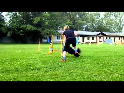 Jak trénovat techniky v agility/ How to train techniques in agility
