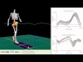 visual3D gait analysis.avi