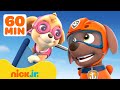 PAW Patrol Land, Air & Sea Animal Rescues! w/ Skye and Zuma | 1 Hour Compilation | Nick Jr.