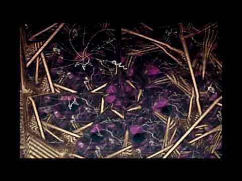 amdusias_-_witches_sabbath.avi