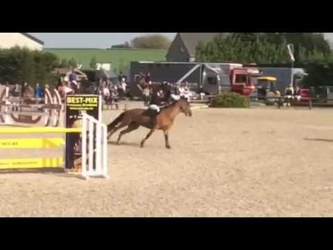 Jappeloup (Numero Uno) @ jump off HROV 125cm (3rd)