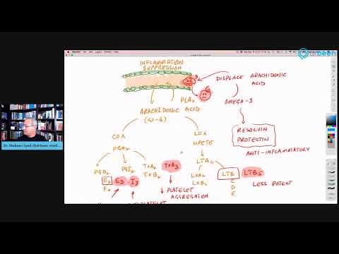 A Guide To Omega 3 Fatty Acids