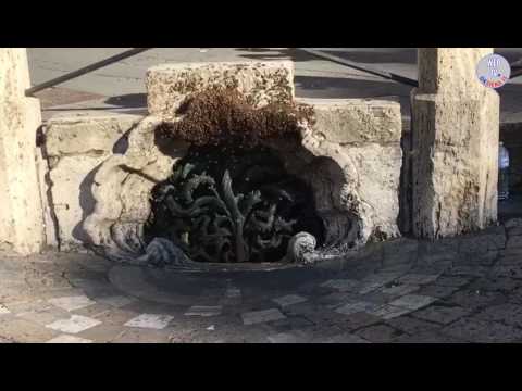 Siena: sciame di api in Piazza del Campo