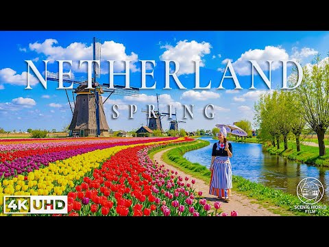 Scenic World Film and 2 more